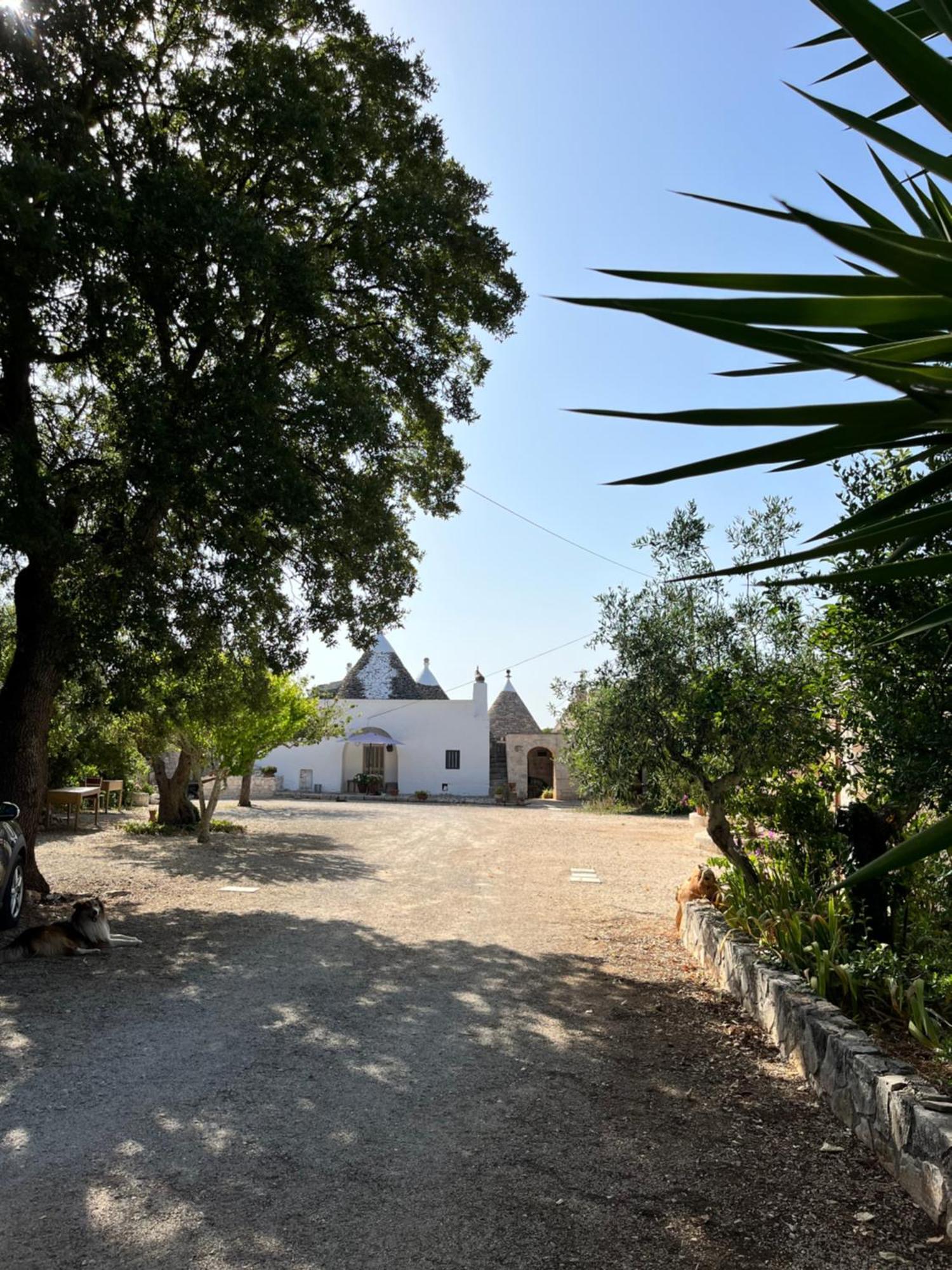 Borgo Miceli Da Giovanni Locorotondo Bagian luar foto