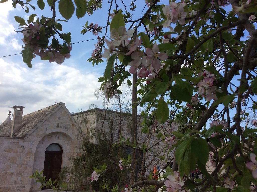 Borgo Miceli Da Giovanni Locorotondo Bagian luar foto